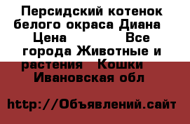 Персидский котенок белого окраса Диана › Цена ­ 40 000 - Все города Животные и растения » Кошки   . Ивановская обл.